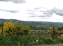%_tempFileName05-04-Westenfeld_05%