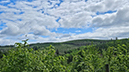 %_tempFileName05-04-Westenfeld_26%