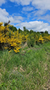 %_tempFileName05-04-Westenfeld_35%