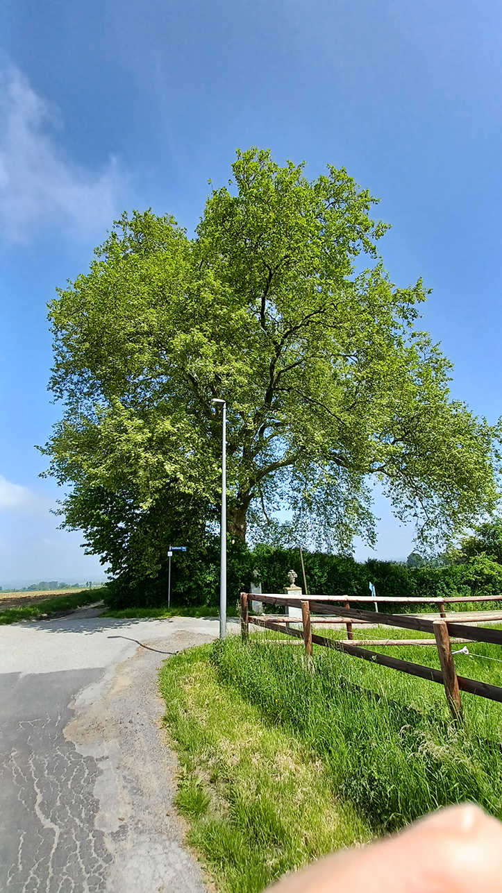 %_tempFileName05-07-Mi-Hemmerde_10%