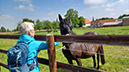 %_tempFileName05-07-Mi-Hemmerde_07%
