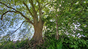 %_tempFileName05-07-Mi-Hemmerde_12%