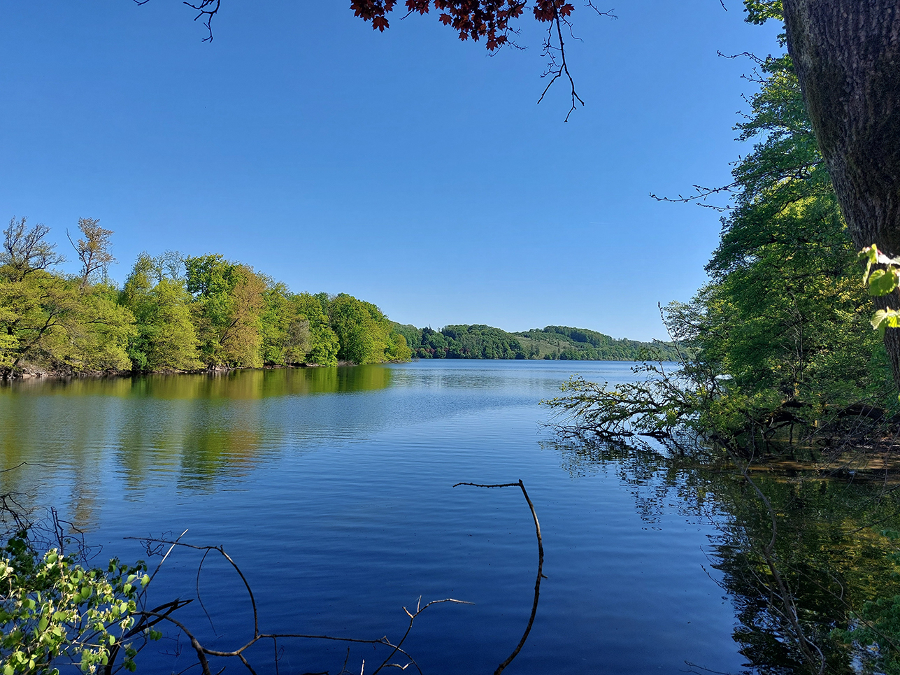 05_11_Runde von Brüningsen02