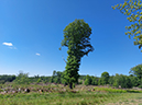 05_11_Runde von Brüningsen11