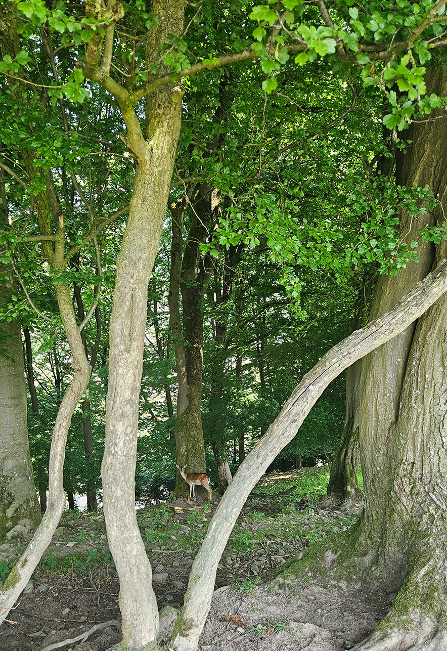 %_tempFileNameHammerkotten_01%