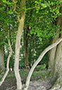 %_tempFileNameHammerkotten_01%