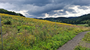 %_tempFileNameMi-Esselsteig_16%