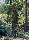 %_tempFileName08-10-Niedersfeld_23%