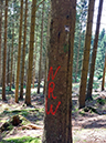 %_tempFileName08-10-Niedersfeld_25%