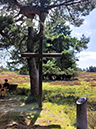 %_tempFileName08-10-Niedersfeld_34%