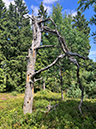 %_tempFileName08-10-Niedersfeld_36%