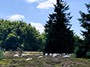 %_tempFileName08-10-Niedersfeld_38%