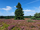 %_tempFileName08-10-Niedersfeld_41%