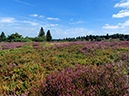 %_tempFileName08-10-Niedersfeld_42%