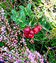 %_tempFileName08-10-Niedersfeld_43%