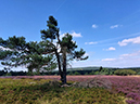 %_tempFileName08-10-Niedersfeld_44%