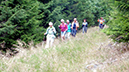 %_tempFileName08-17-Skywalk_14%