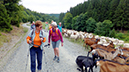 %_tempFileName08-17-Skywalk_18%