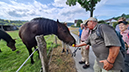 %_tempFileName08-27-Mi-Oeventrop_24%