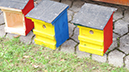 %_tempFileName09-06-Kartoffelfeuer_29%