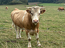 %_tempFileName09-10-Endorf_03%