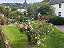 %_tempFileName09-10-Endorf_17%