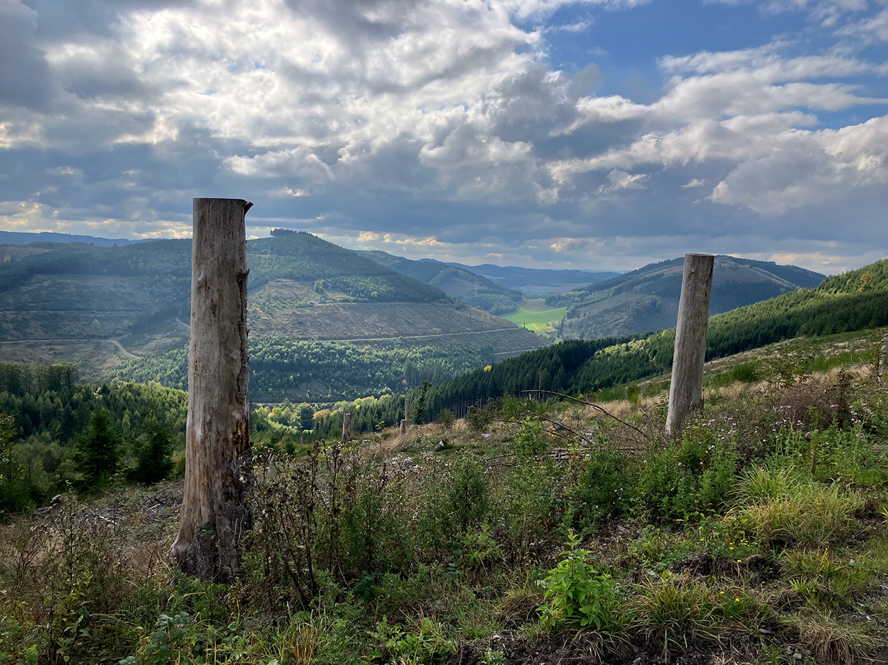 09_27_Sonnenstück_35