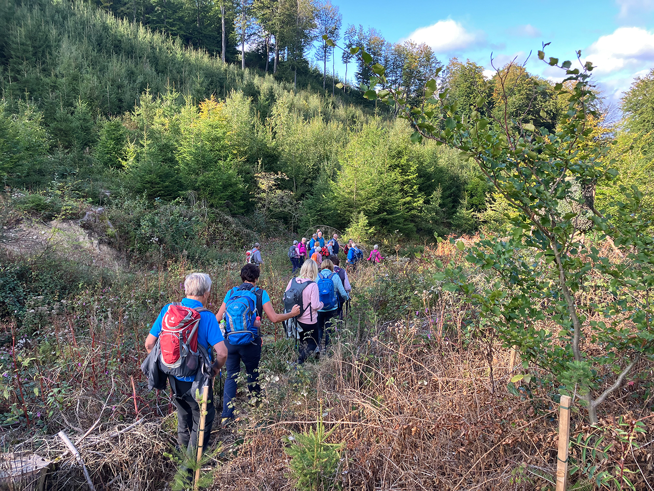 09_27_Sonnenstück_43