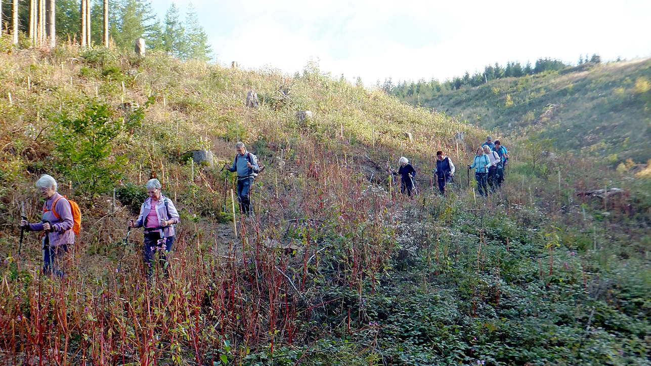 09_27_Sonnenstück_46