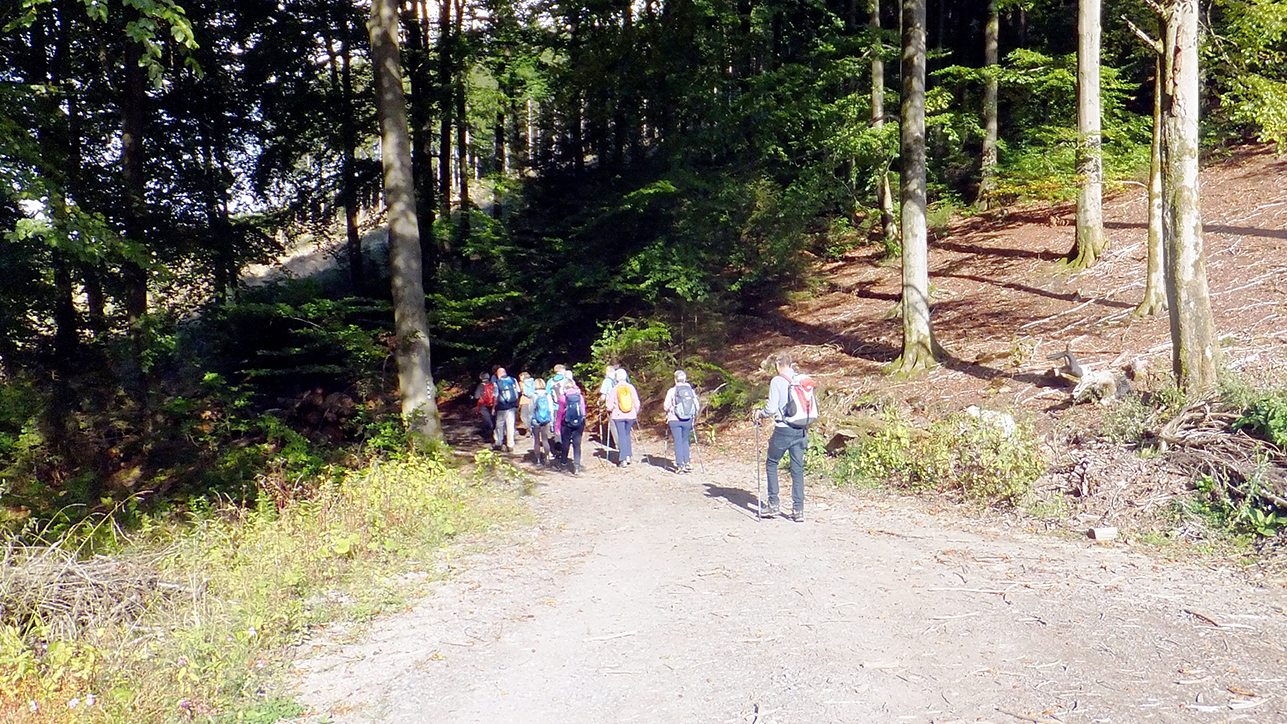 09_27_Sonnenstück_47