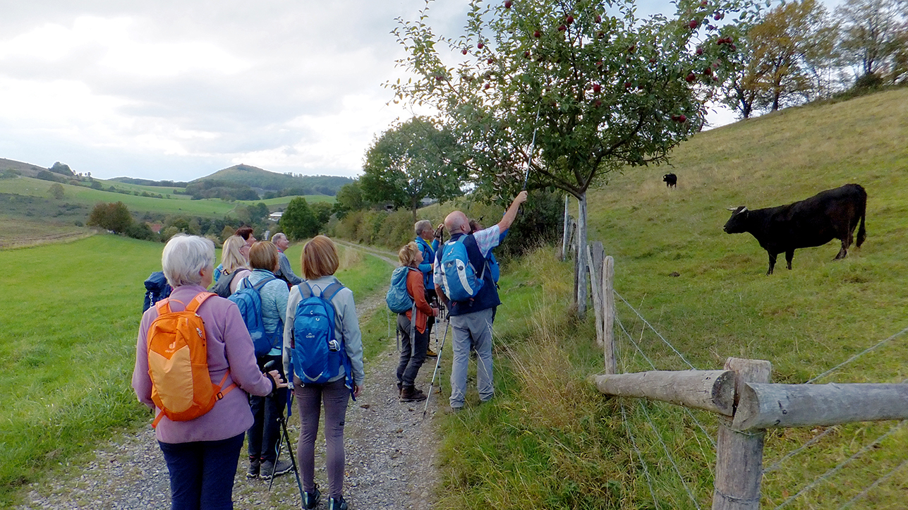 09_27_Sonnenstück_52