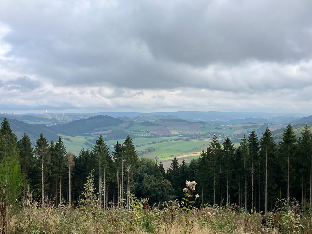 09_27_Sonnenstück_06