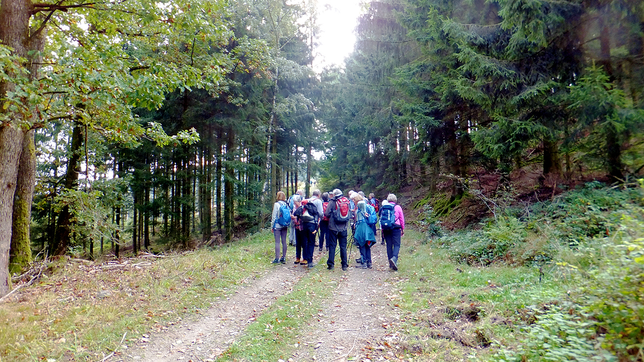 09_27_Sonnenstück_07