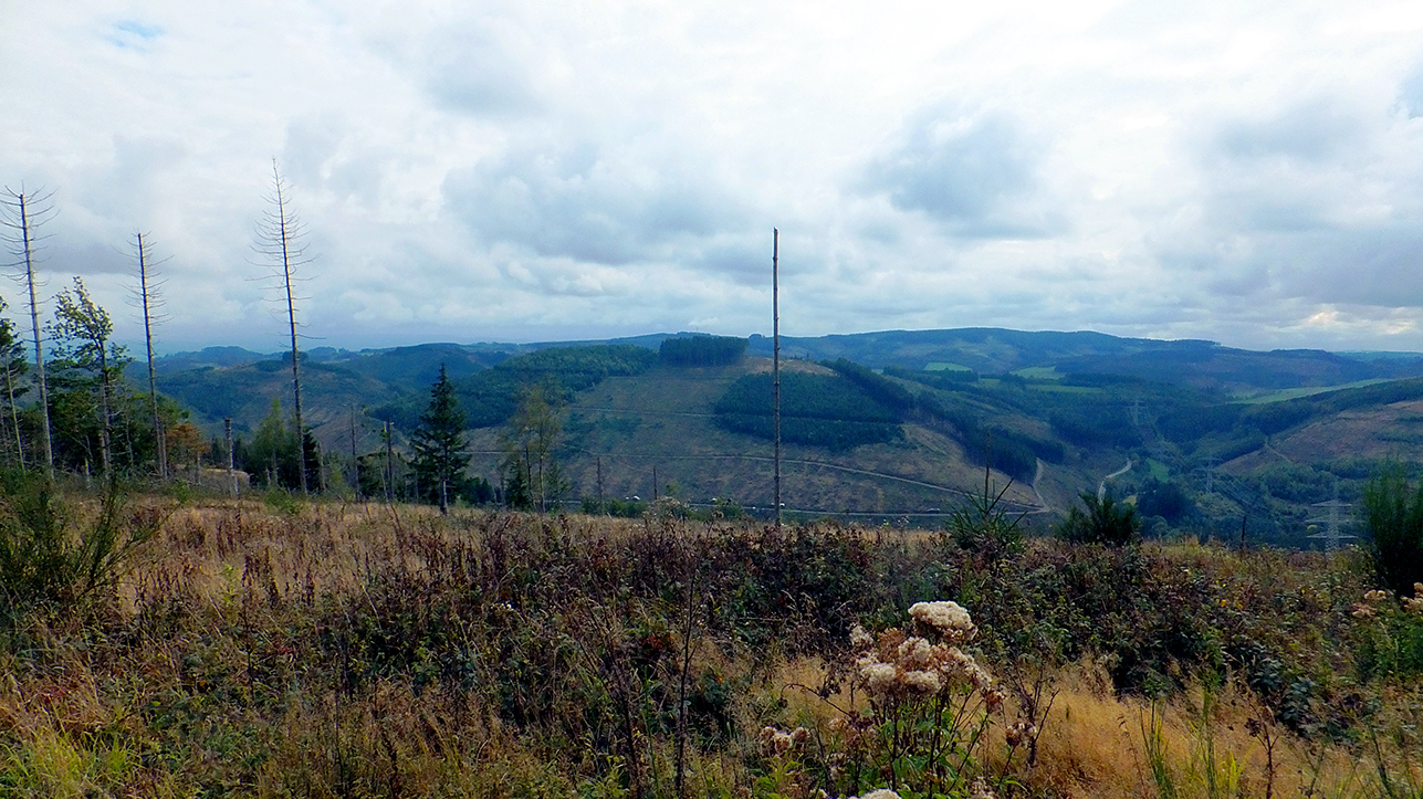 09_27_Sonnenstück_10