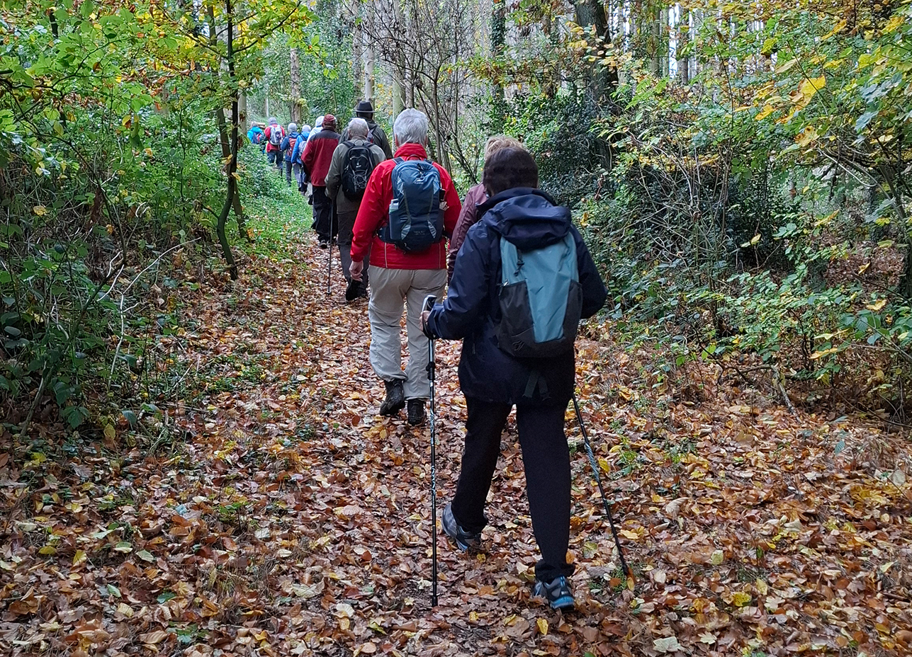 %_tempFileName10-22-Luerwald_01%