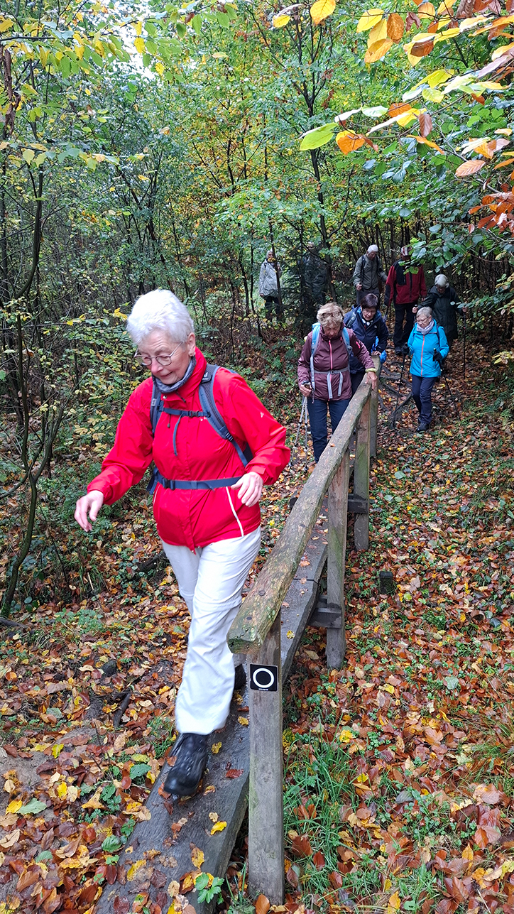 %_tempFileName10-22-Luerwald_03%