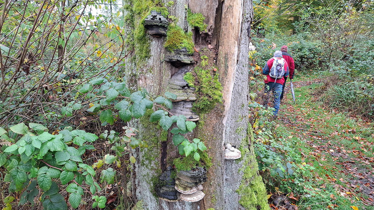 %_tempFileName10-22-Luerwald_06%