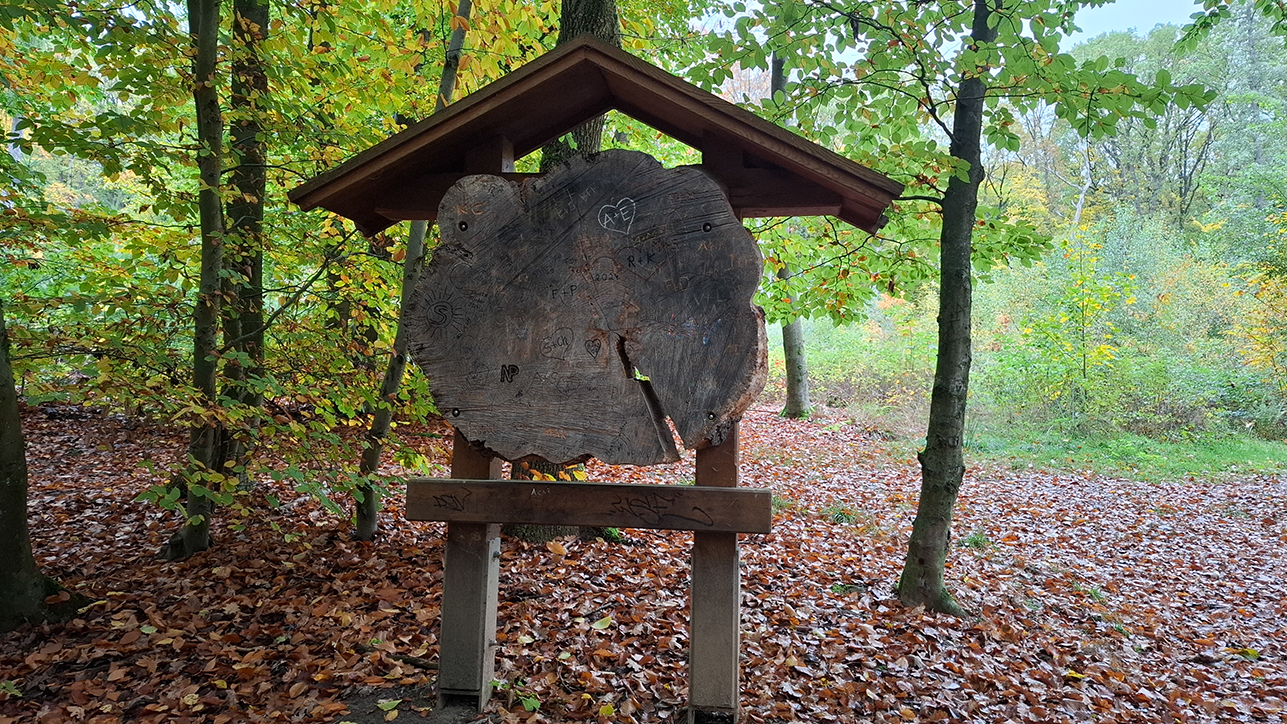 %_tempFileName10-22-Luerwald_07%