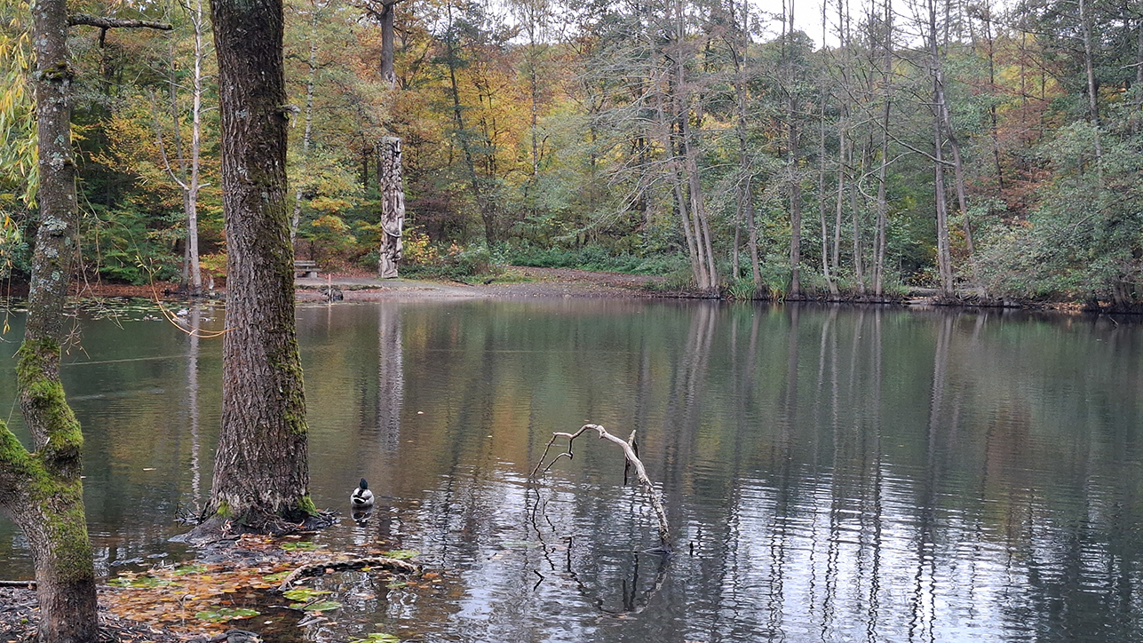 %_tempFileName10-22-Luerwald_11%