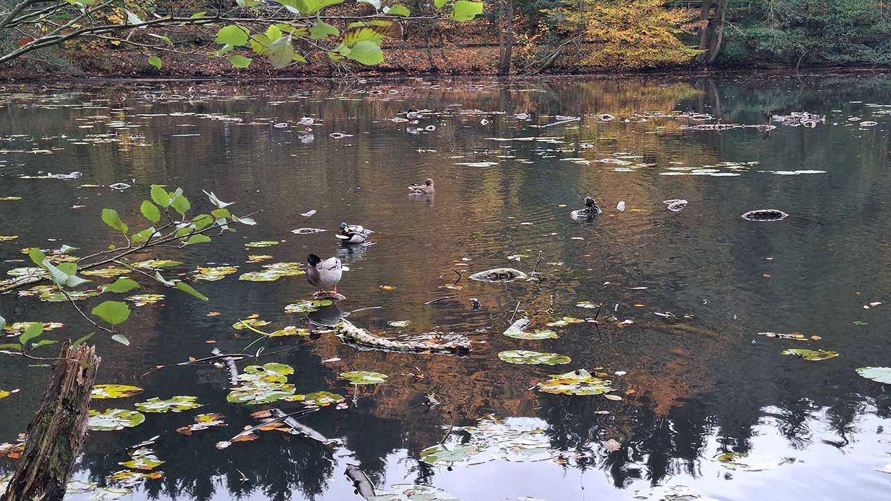 %_tempFileName10-22-Luerwald_12%