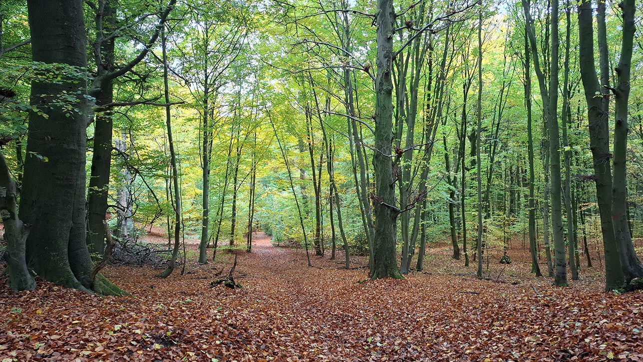 %_tempFileName10-22-Luerwald_23%