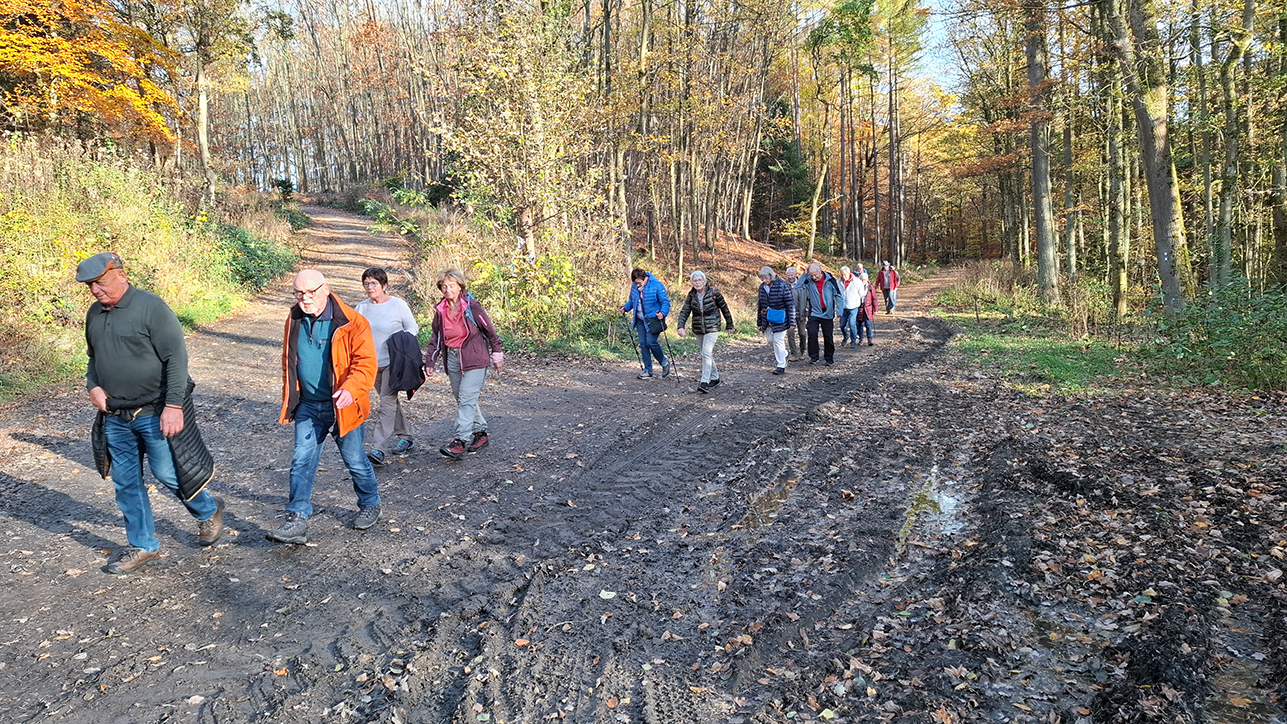 %_tempFileName20251105_145229%