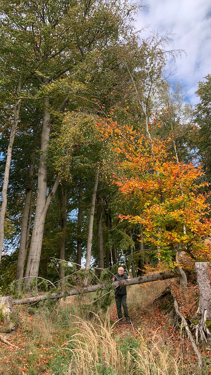 %_tempFileNameIMG-20251106-WA0010%