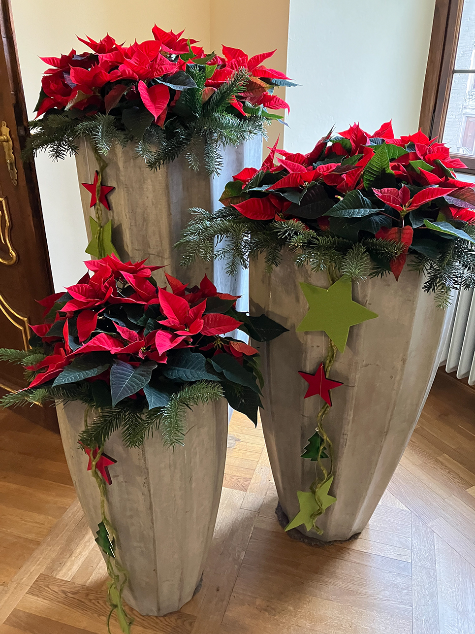 %_tempFileNameIMG_4255%