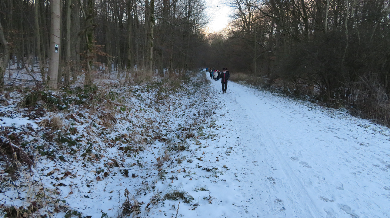 01-10-Eröffnungswanderung_15