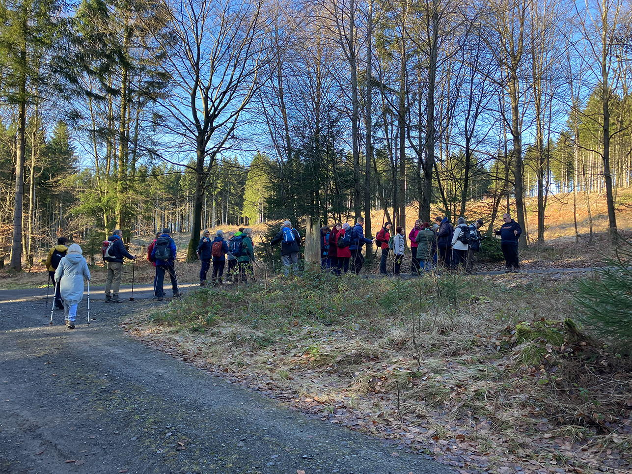 01-18-Lörmecketurm_04