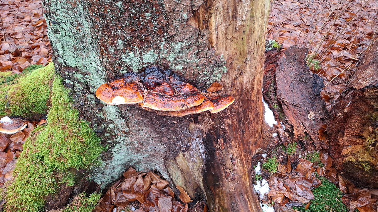 %_tempFileName20260128_141059%