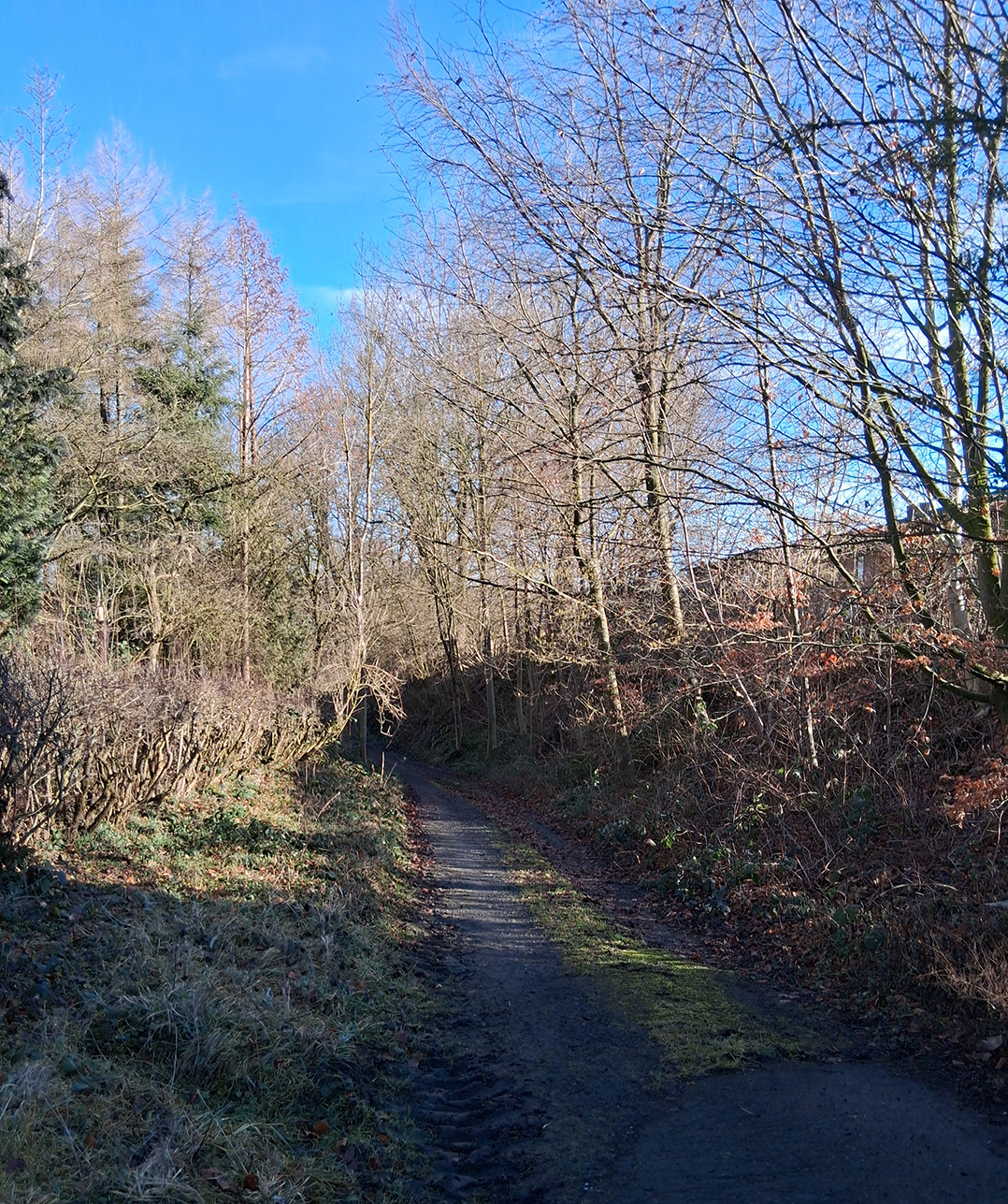 %_tempFileName1000035918%