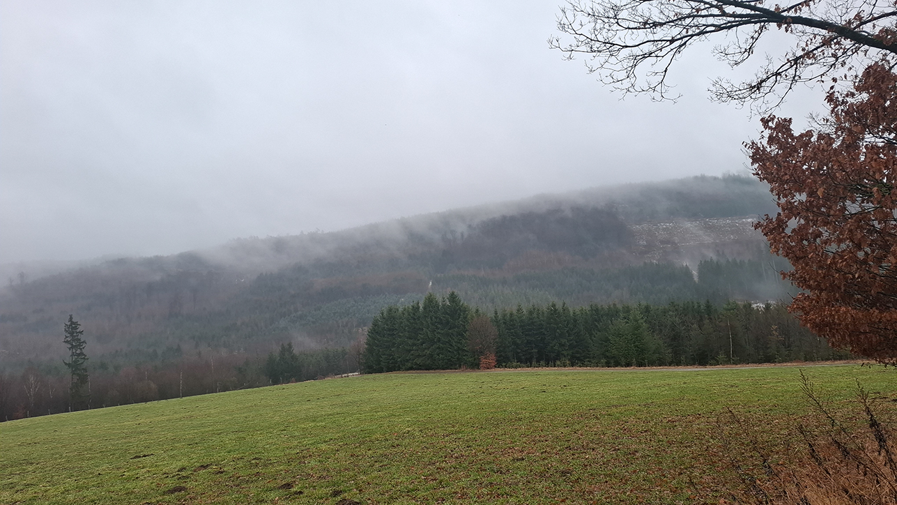 %_tempFileName02-11-Eversberg_05%