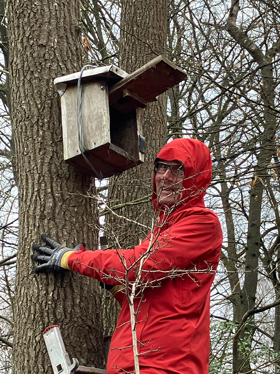 02-21-Nistkästen_01